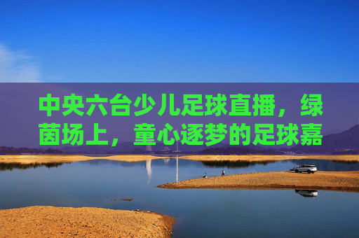 中央六台少儿足球直播,绿茵场上,童心逐梦的足球嘉年华