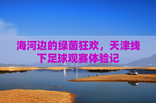 海河边的绿茵狂欢,天津线下足球观赛体验记