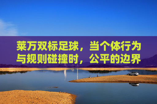 莱万双标足球,当个体行为与规则碰撞时,公平的边界在何处?