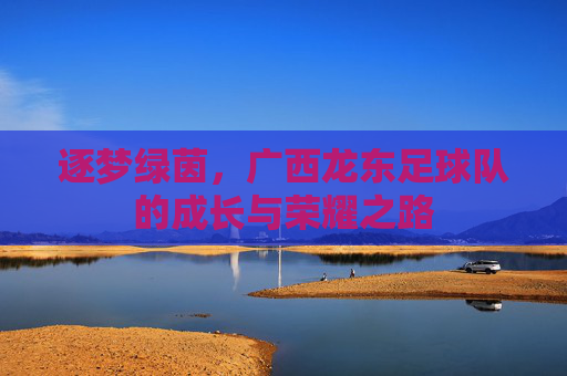 逐梦绿茵,广西龙东足球队的成长与荣耀之路