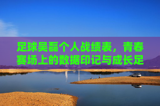足球吴磊个人战绩表,青春赛场上的数据印记与成长足迹