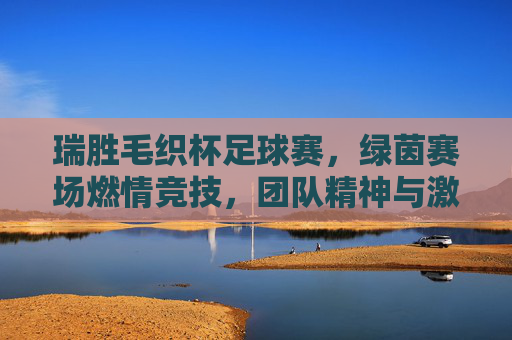 瑞胜毛织杯足球赛,绿茵赛场燃情竞技,团队精神与激情碰撞