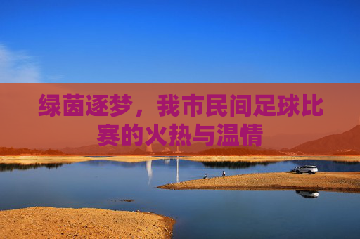 绿茵逐梦,我市民间足球比赛的火热与温情