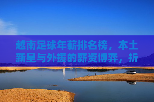 越南足球年薪排名榜,本土新星与外援的薪资博弈,折射联赛职业化进程