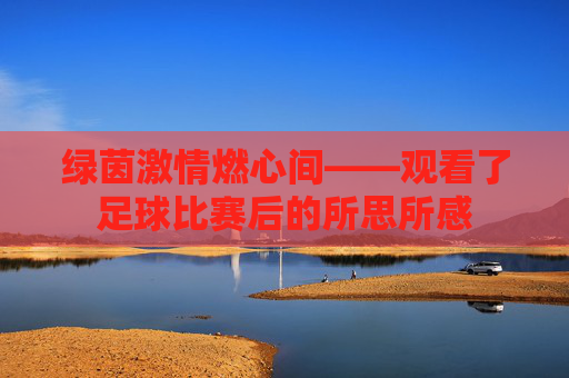 绿茵激情燃心间——观看了足球比赛后的所思所感