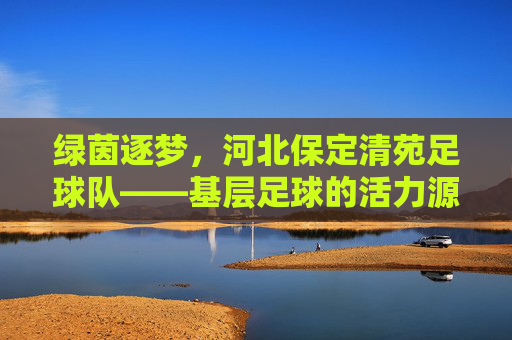 绿茵逐梦,河北保定清苑足球队——基层足球的活力源泉与希望之光