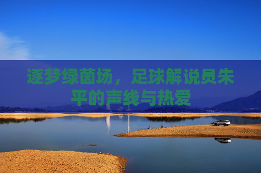 逐梦绿茵场,足球解说员朱平的声线与热爱