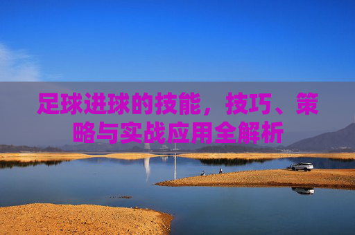 足球进球的技能,技巧、策略与实战应用全解析