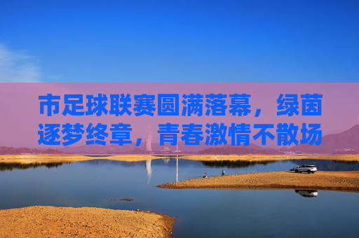市足球联赛圆满落幕，绿茵逐梦终章，青春激情不散场，市足球联赛落幕，绿茵逐梦终章，青春激情不散场