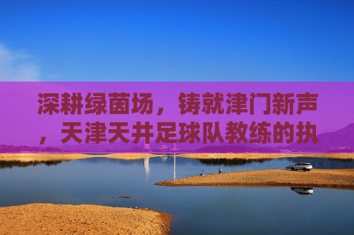 深耕绿茵场，铸就津门新声，天津天井足球队教练的执教之路与团队发展