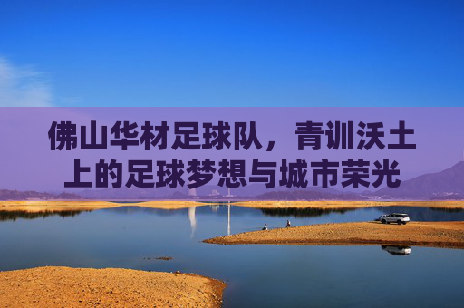 佛山华材足球队,青训沃土上的足球梦想与城市荣光