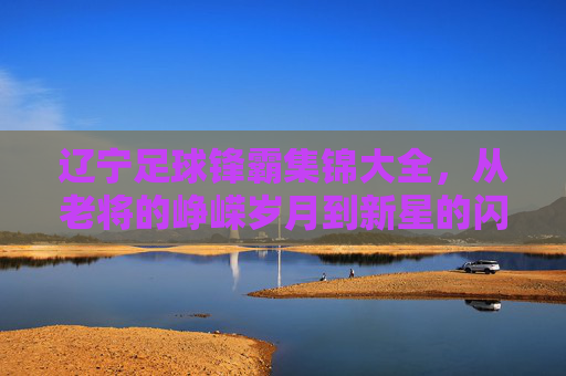 辽宁足球锋霸集锦大全,从老将的峥嵘岁月到新星的闪耀征程,那些改变战局的进球瞬间