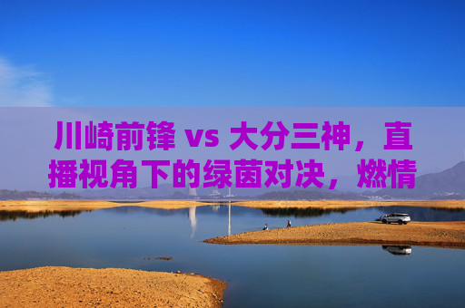 川崎前锋 vs 大分三神,直播视角下的绿茵对决,燃情足球的视觉盛宴