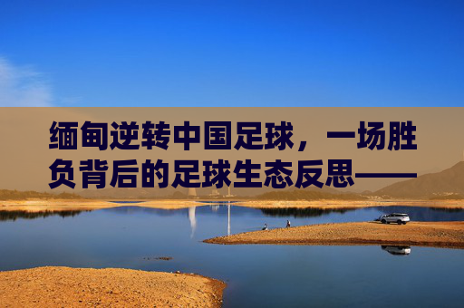 缅甸逆转中国足球,一场胜负背后的足球生态反思——从胜利者到反思者的双重启示