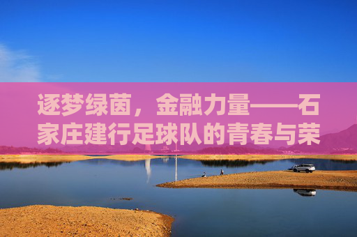 逐梦绿茵，金融力量——石家庄建行足球队的青春与荣耀