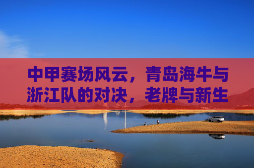 中甲赛场风云,青岛海牛与浙江队的对决,老牌与新生力量的博弈