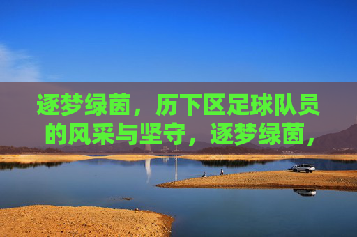 逐梦绿茵，历下区足球队员的风采与坚守，逐梦绿茵，历下区足球队员的风采与坚守
