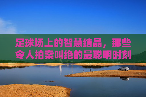 足球场上的智慧结晶,那些令人拍案叫绝的最聪明时刻视频解析