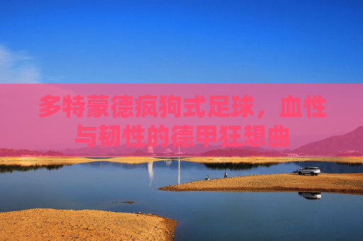多特蒙德疯狗式足球,血性与韧性的德甲狂想曲