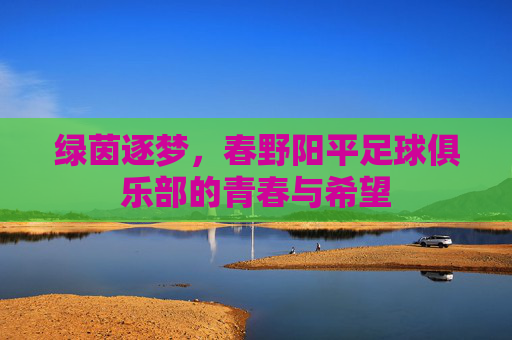 绿茵逐梦,春野阳平足球俱乐部的青春与希望