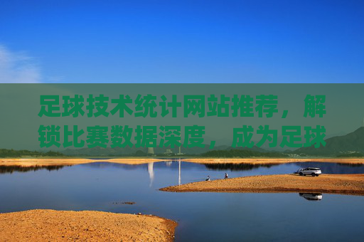 足球技术统计网站推荐,解锁比赛数据深度,成为足球分析达人