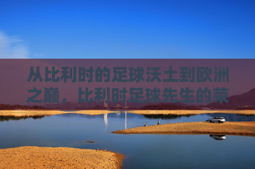 从比利时的足球沃土到欧洲之巅,比利时足球先生的荣耀与传奇