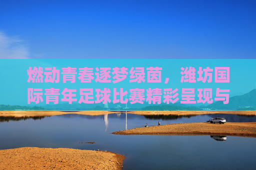 燃动青春逐梦绿茵，潍坊国际青年足球比赛精彩呈现与未来展望