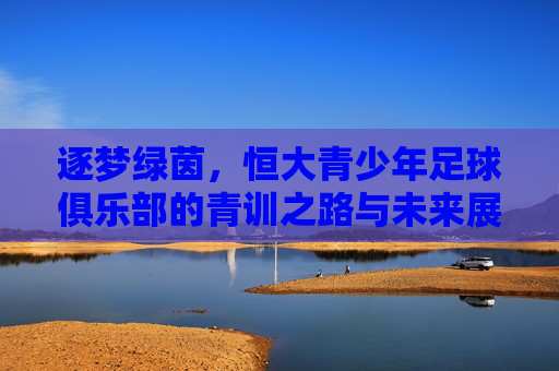 逐梦绿茵,恒大青少年足球俱乐部的青训之路与未来展望