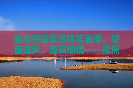 全运会西安足球赛直播,绿茵逐梦,西安燃情——聚焦2024年全运会男子足球U20组别赛事