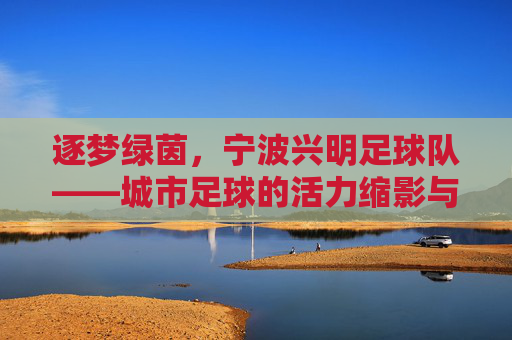 逐梦绿茵,宁波兴明足球队——城市足球的活力缩影与未来展望