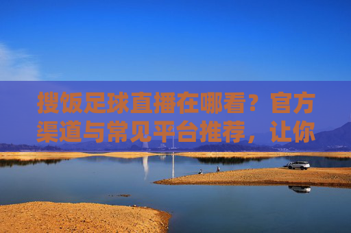 搜饭足球直播在哪看?官方渠道与常见平台推荐,让你不错过每一场精彩赛事,搜饭足球直播在哪看?官方渠道与常见平台推荐,让你不错过每一场精彩赛事