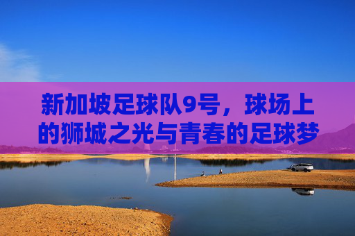 新加坡足球队9号,球场上的狮城之光与青春的足球梦,新加坡足球队9号,球场上的狮城之光与青春的足球梦