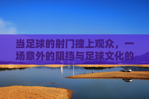 当足球的射门撞上观众,一场意外的阻挡与足球文化的反思,足球射门撞上观众,一场意外的阻挡与足球文化的反思