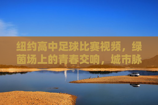 纽约高中足球比赛视频,绿茵场上的青春交响,城市脉搏中的热血碰撞