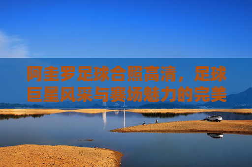 阿圭罗足球合照高清,足球巨星风采与赛场魅力的完美定格