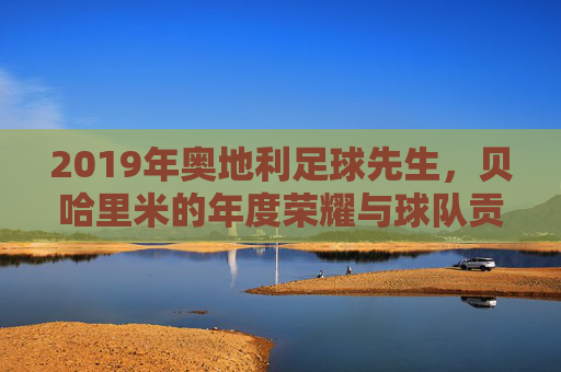 2019年奥地利足球先生,贝哈里米的年度荣耀与球队贡献,2019年奥地利足球先生,贝哈里米的年度荣耀与球队贡献