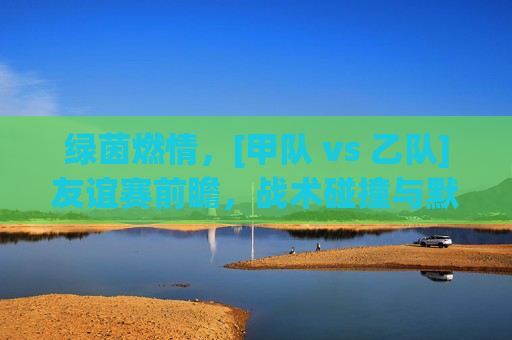 绿茵燃情，[甲队 vs 乙队]友谊赛前瞻，战术碰撞与默契生辉