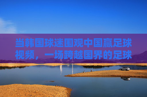 当韩国球迷围观中国赢足球视频,一场跨越国界的足球情感共鸣,韩国球迷围观中国足球胜利,一场跨越国界的情感共鸣