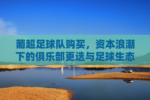 葡超足球队购买,资本浪潮下的俱乐部更迭与足球生态重构,葡超足球队购买,资本浪潮下的俱乐部更迭与足球生态重构