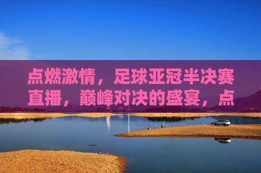 点燃激情，足球亚冠半决赛直播，巅峰对决的盛宴，点燃激情，足球亚冠半决赛直播，巅峰对决的盛宴