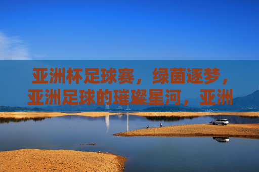 亚洲杯足球赛，绿茵逐梦，亚洲足球的璀璨星河，亚洲杯足球赛，绿茵逐梦，亚洲足球的璀璨星河
