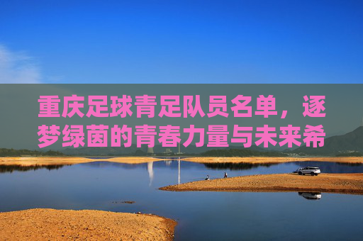 重庆足球青足队员名单,逐梦绿茵的青春力量与未来希望