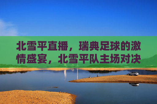 北雪平直播,瑞典足球的激情盛宴,北雪平队主场对决的实时体验