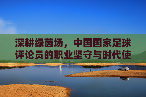 深耕绿茵场,中国国家足球评论员的职业坚守与时代使命,深耕绿茵场,中国国家足球评论员的职业坚守与时代使命