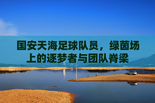 国安天海足球队员，绿茵场上的逐梦者与团队脊梁