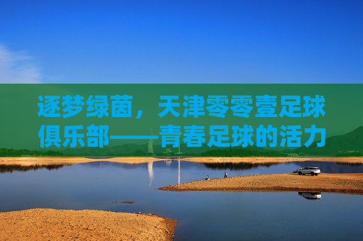 逐梦绿茵，天津零零壹足球俱乐部——青春足球的活力引擎与未来希望