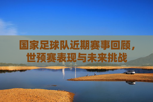 国家足球队近期赛事回顾,世预赛表现与未来挑战
