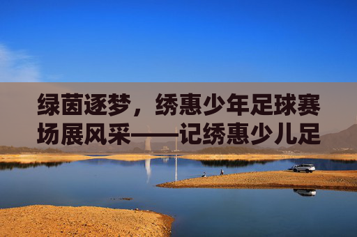 绿茵逐梦，绣惠少年足球赛场展风采——记绣惠少儿足球比赛盛况