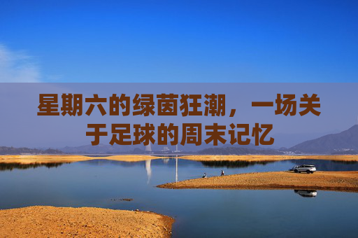 星期六的绿茵狂潮,一场关于足球的周末记忆