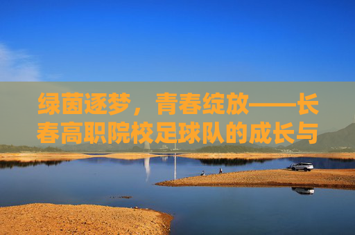 绿茵逐梦,青春绽放——长春高职院校足球队的成长与风采,绿茵逐梦,青春绽放——长春高职院校足球队的成长与风采